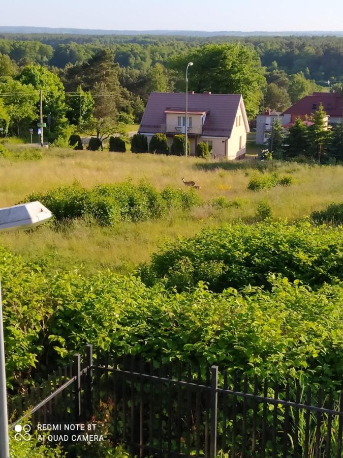 Mocik Jastrzebia Gora Exterior foto